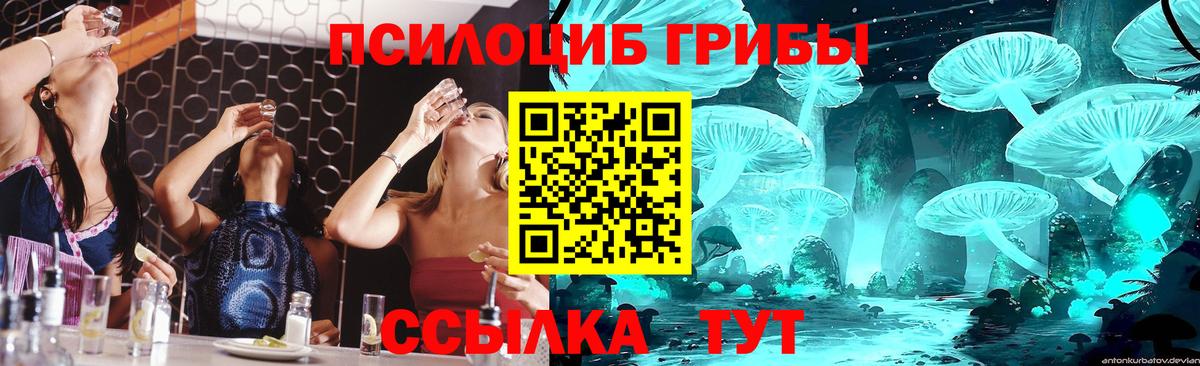Псилоцибиновые грибы ЛСД Подольск